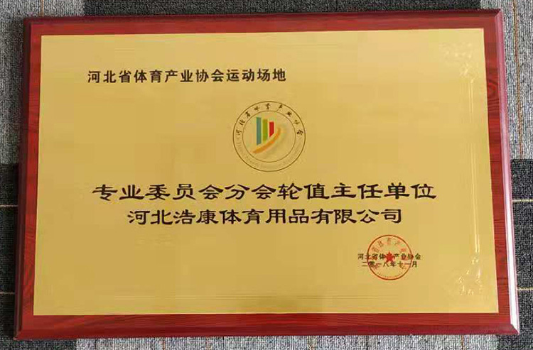 河北浩康勇担省体育产业协会新责任