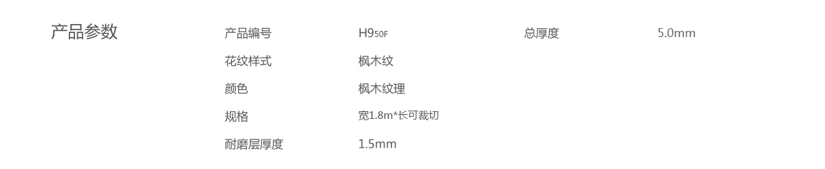 H9详细参数1.jpg