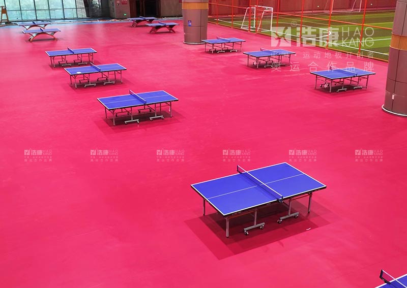 泰山国际会展中心乒乓球馆