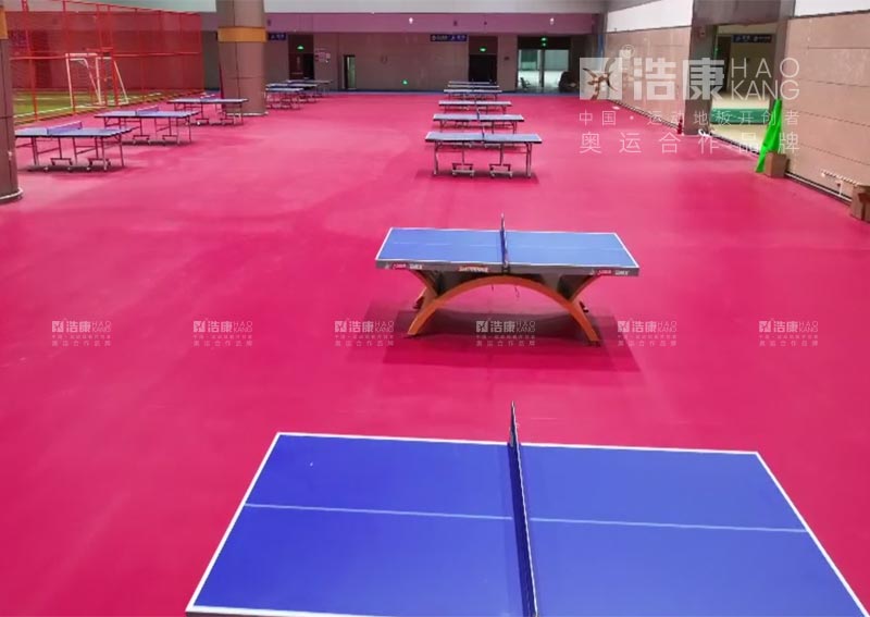 泰山国际会展中心乒乓球馆
