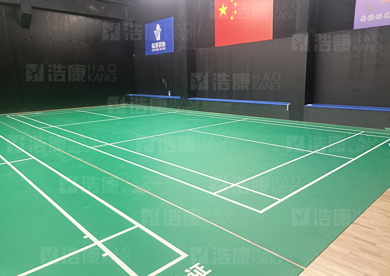 山东省临沂市尚酷羽毛球